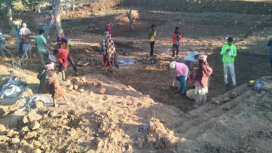 मछली पालन और खेतों की सिंचाई का आधार बनेगी आजीविका डबरी- विशेष पिछड़ी जनजाति बैगा समुदाय के दिव्यांग अंधरू बैगा के लिए मनरेगा की पहल बनी वरदान….