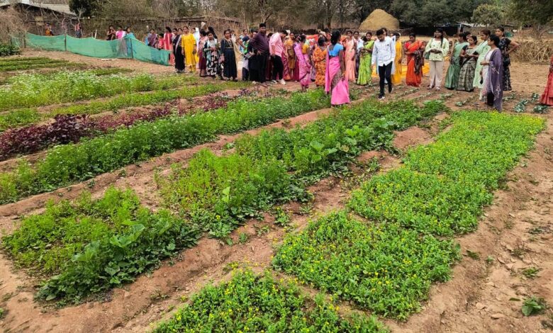बस्तर के नवाचार देख उत्साहित हुईं बिलासपुर की दीदियाँ, एक्सपोजर विजिट में सीखीं इंटीग्रेटेड फार्मिंग की बारीकियां…. बस्तर के नवाचार देख उत्साहित हुईं बिलासपुर की दीदियाँ, एक्सपोजर विजिट में सीखीं इंटीग्रेटेड फार्मिंग की बारीकियां….