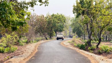 पोलमपल्ली से अरलमपल्ली सड़क बनने से खुश है ग्रामीण, नक्सल गढ़ में विकास की नई जीत….
