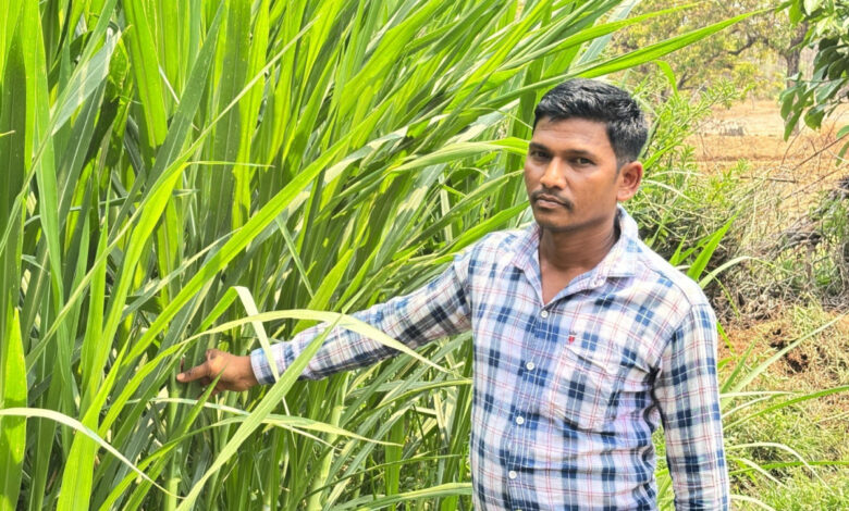 मजदूरी की बेड़ियां तोड़ ‘मल्टी-फार्मिंग’ के नायक बने ललित यादव, 6 गायों से शुरू हुआ डेयरी का सफर, आज 25 उन्नत पशुओं के साथ लिख रहे सफलता की इबारत….. मजदूरी की बेड़ियां तोड़ ‘मल्टी-फार्मिंग’ के नायक बने ललित यादव, 6 गायों से शुरू हुआ डेयरी का सफर, आज 25 उन्नत पशुओं के साथ लिख रहे सफलता की इबारत…..