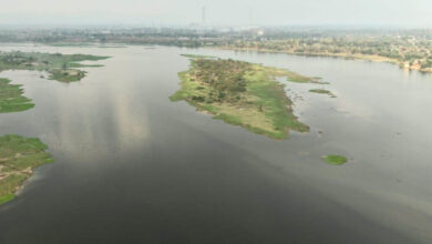 कोरबा की जीवनदायिनी को मिलेगा ’अमृत’: 165 करोड़ से संवरेगी हसदेव की धारा…. कोरबा की जीवनदायिनी को मिलेगा ’अमृत’: 165 करोड़ से संवरेगी हसदेव की धारा….