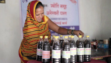 आत्मनिर्भरता की मिसाल: औराटोला बना बालोद का पहला लखपति दीदी ग्राम….