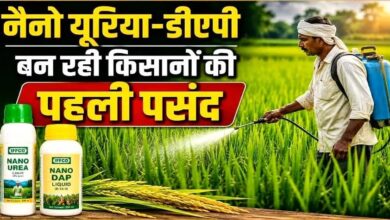 नैनो यूरिया और नैनो डीएपी से कम लागत में ज्यादा उत्पादन, नैनो उर्वरकों का संतुलित उपयोग मिट्टी में पोषक तत्वों को बनाए रखने में करता है मदद – किसान भूषण साहू…..